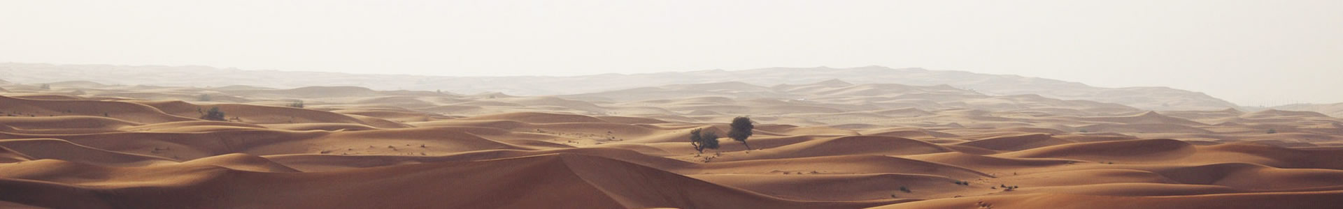 ɽڻеƼ޹˾